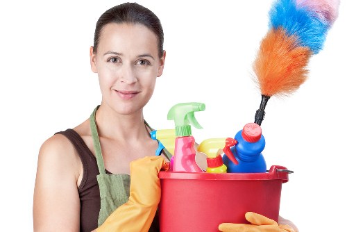 Professional carpet cleaning in a Dulwich home living room