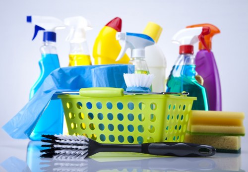 Dulwich carpet cleaners beginning a professional carpet cleaning service in a local home