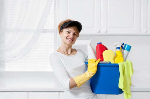 Domestic cleaning supplies and tidy kitchen surfaces in a Dulwich home