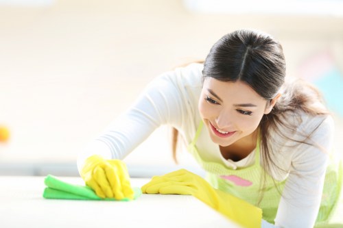 Carpet cleaner service in a Dulwich home
