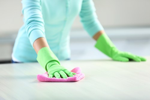 Professional Dulwich carpet cleaning team assessing carpet fibres and stain treatment