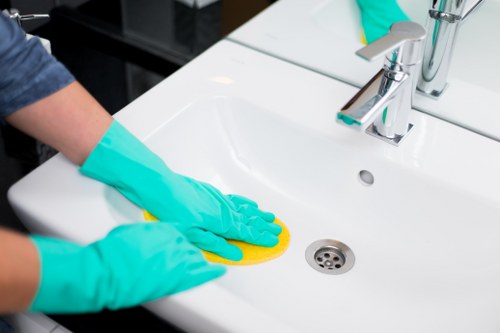 Upholstery and rug cleaning services alongside carpet cleaning