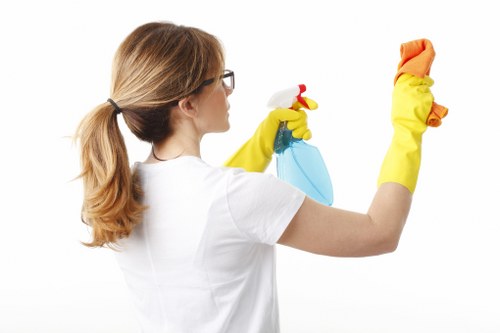 Bathroom descaling and sanitising for Dulwich move-out cleaning