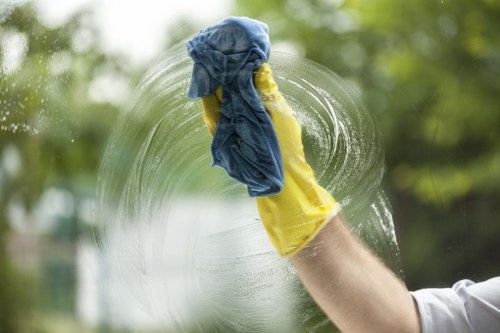 Eco-friendly home cleaning service in Dulwich