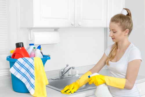 Deep cleaning equipment used for rug cleaning in Dulwich
