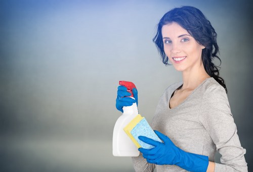 Professional cleaner explaining a service quotation to a customer